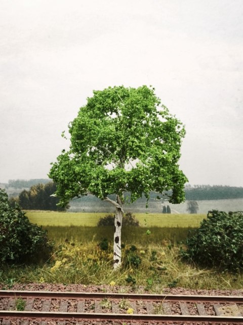 DRZEWKO NA MAKIETĘ / DIORAMĘ 10 cm T107 BRZOZA