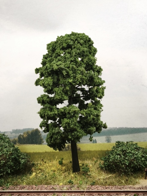 DRZEWKO NA MAKIETĘ / DIORAMĘ 13 cm S0201130 DRZEWKO NA MAKIETĘ / DIORAMĘ 13 cm S0201130