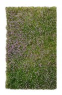 GREEN STUFF WORLD - MATA Z TRAWY DO CIĘCIA 90x145 mm FIOLETOWA ŁĄKA 10342